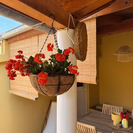 Apartment Zio Nino *