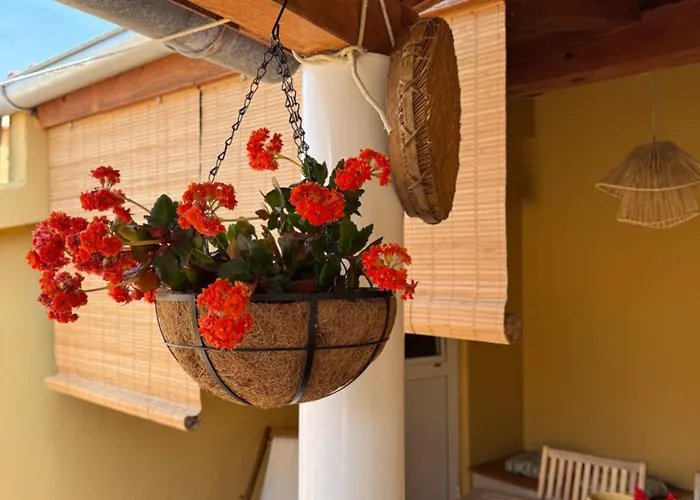 Apartment Zio Nino *